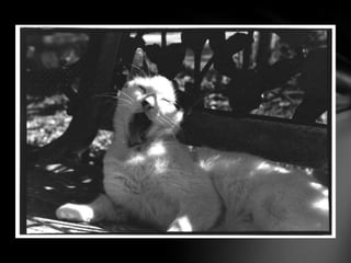 Me, myself, my artwork01