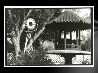 Me, myself, my artwork01