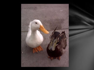 Me, myself, my artwork01