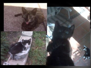 Me, myself, my artwork01