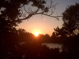 Me, myself, my artwork01