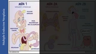 Men 1 and 2 | PPTX