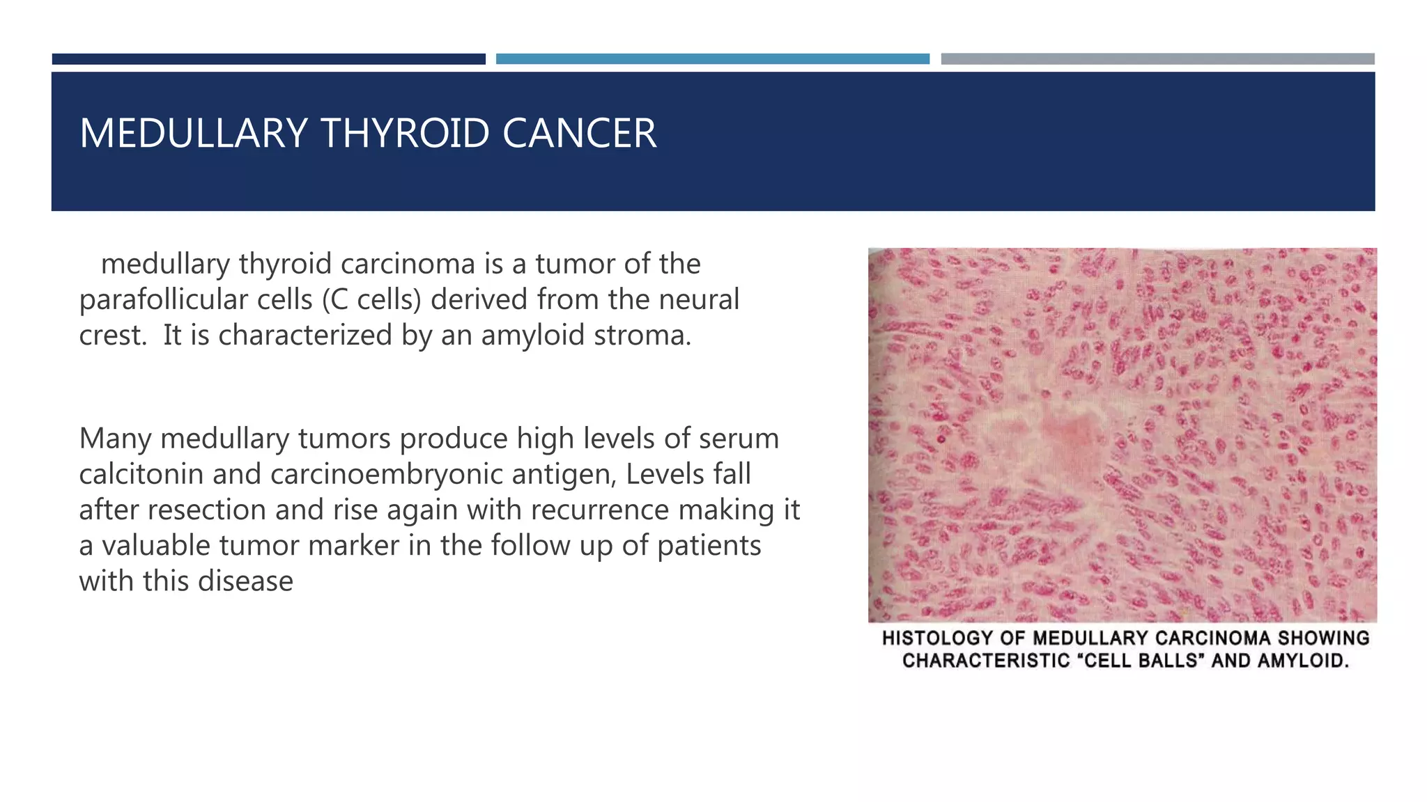 MEDULLARY THYROID CANCER
medullary thyroid carcinoma is a tumor of the
parafollicular cells (C cells) derived from the neural
crest. It is characterized by an amyloid stroma.
Many medullary tumors produce high levels of serum
calcitonin and carcinoembryonic antigen, Levels fall
after resection and rise again with recurrence making it
a valuable tumor marker in the follow up of patients
with this disease
 
