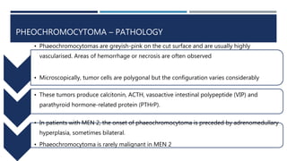 PHEOCHROMOCYTOMA – PATHOLOGY
• Phaeochromocytomas are greyish-pink on the cut surface and are usually highly
vascularised. Areas of hemorrhage or necrosis are often observed
• Microscopically, tumor cells are polygonal but the configuration varies considerably
• These tumors produce calcitonin, ACTH, vasoactive intestinal polypeptide (VIP) and
parathyroid hormone-related protein (PTHrP).
• In patients with MEN 2, the onset of phaeochromocytoma is preceded by adrenomedullary
hyperplasia, sometimes bilateral.
• Phaeochromocytoma is rarely malignant in MEN 2
 