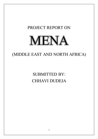 1
PROJECT REPORT ON
MENA
(MIDDLE EAST AND NORTH AFRICA)
SUBMITTED BY:
CHHAVI DUDEJA
 