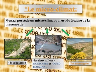 Menaa possède un micro-climat qui est du à cause de la
présence de:
*les montagnes
*les deux vallées «
OUED ABDI et OUED
BOUZINA »
* la végétation
 