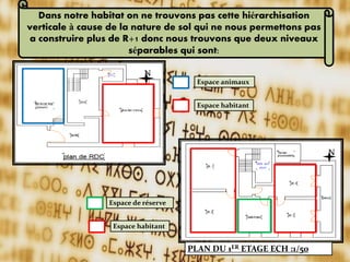 Dans notre habitat on ne trouvons pas cette hiérarchisation
verticale à cause de la nature de sol qui ne nous permettons pas
a construire plus de R+1 donc nous trouvons que deux niveaux
séparables qui sont:
PLAN DU 1ER ETAGE ECH :1/50
N
Espace de réserve
Espace habitant
Espace animaux
Espace habitant
N
 