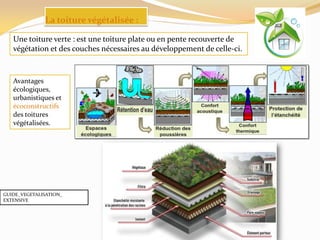 La toiture végétalisée :
Avantages
écologiques,
urbanistiques et
ècoconstructifs
des toitures
végétalisées.
Une toiture verte : est une toiture plate ou en pente recouverte de
végétation et des couches nécessaires au développement de celle-ci.
GUIDE_VEGETALISATION_
EXTENSIVE
 