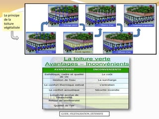 Le principe
de la
toiture
végétalisée
GUIDE_VEGETALISATION_EXTENSIVE
 