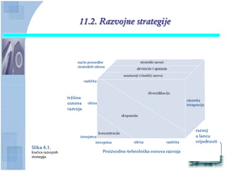 11.2. Razvojne strategije
 