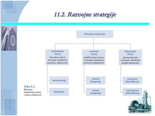 11.2. Razvojne strategije
 