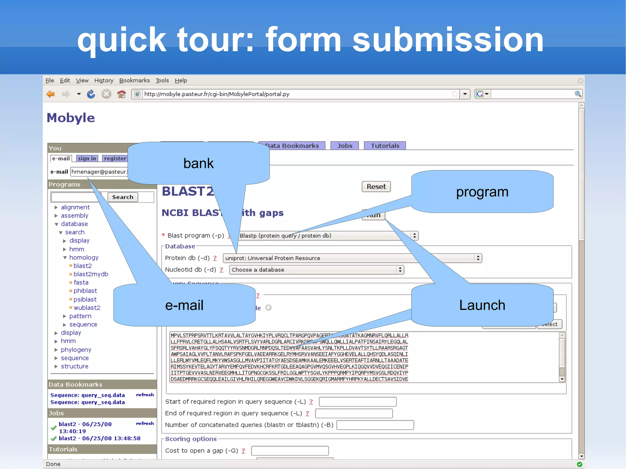Menager Mobyle Bosc2008