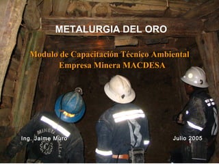 METALURGIA DEL ORO

  Modulo de Capacitación Técnico Ambiental
        Empresa Minera MACDESA




Ing. Jaime Muro                      Julio 2005
 