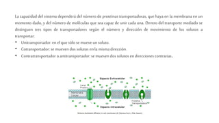 La capacidad del sistema dependerá del número de proteínas transportadoras, que haya en la membrana en un
momento dado, y del número de moléculas que sea capaz de unir cada una. Dentro del transporte mediado se
distinguen tres tipos de transportadores según el número y dirección de movimiento de los solutos a
transportar:
• Unitransportador: en elque sólo se mueveunsoluto.
• Cotransportador: se muevendos solutos enla mismadirección.
• Contratransportador oantitransportador: se muevendos solutos endirecciones contrarias.
 