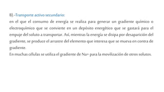 B).-Transporte activo secundario:
en el que el consumo de energía se realiza para generar un gradiente químico o
electroquímico que se convierte en un depósito energético que se gastará para el
empuje del soluto a transportar. Así, mientras la energía se disipa por desaparición del
gradiente, se produce el arrastre del elemento que interesa que se mueva en contra de
gradiente.
En muchascélulasse utilizael gradientede Na+ para la movilización de otros solutos.
 