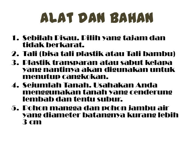 Mencangkok Mangga dan Jambu Air