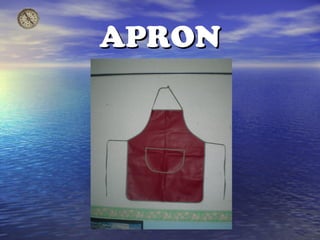 APRON
 