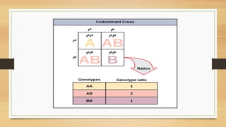 MENDALIAN PRINCIPLE IN HUMAN GENETIC EXAMPLESpptx | PPTX