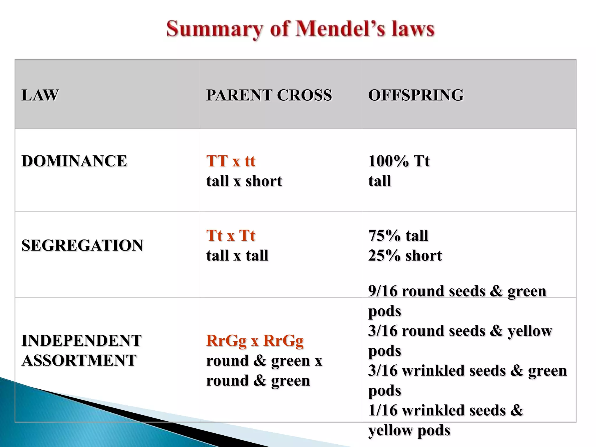 Mendals Set Math MENDALS LAW ..RISHABH.pptx