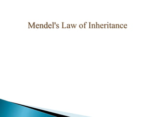 Mendel's Law of Inheritance
 