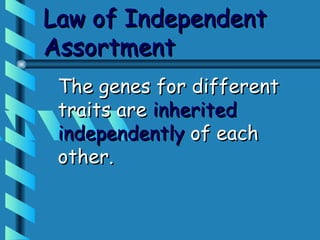 Law of Independent
Assortment
 The genes for different
 traits are inherited
 independently of each
 other.
 