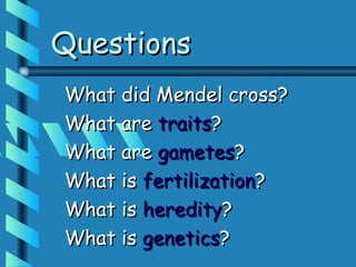 Questions
What did Mendel cross?
What are traits?
What are gametes?
What is fertilization?
What is heredity?
What is genetics?
 