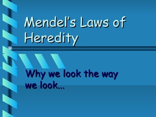 Mendel’s Laws of
Heredity

Why we look the way
we look...
 