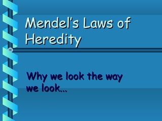 Mendel’s Laws ofMendel’s Laws of
HeredityHeredity
Why we look the wayWhy we look the way
we look...we look...
 