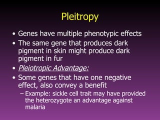 Mendel | PPT