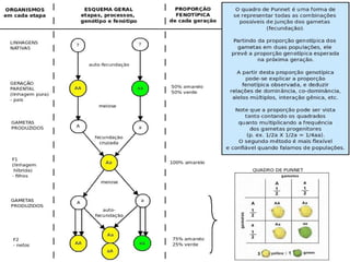 1a lei de Mendel O que há de curioso nestes resultados? 