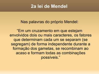1a lei de Mendel A proporção de 3 para 1 prevista pela 1a lei depende da existência de um fenótipo determinado por um gene que possui duas variações na população, dois alelos, sendo um dominante (A) e o outro recessivo (a). É o que chamamos de  dominância  entre os alelos. Vejamos agora outros tipos de herança que seguem os mesmos princípios. 