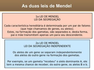 Relações entre alelos de um gene 