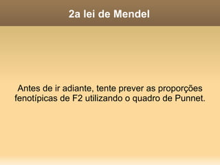 Tipos Sanguíneos Como vimos, para analisar a herança dos tipos sanguíneos precisamos incluir dois genes, um que determina os tipos A, B, AB ou O (Sistema ABO), e outro que determina se é positivo ou negativo (Sistema Rh). Há também o sistema MN, menos utilizado. Com a 1a lei só podemos tratar de um gene, portanto precisamos de mais alguma coisa. 