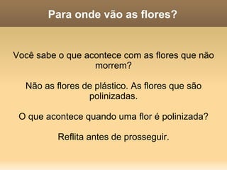 Cruzando ervilhas Nome científico:  Pisum sativum Familia das Leguminosas (plantas com vagem, que possuem Rizóbios nas raízes, ajudando a fixação de nitrogênio) 