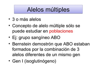Alelos m últiples 3 o m ás alelos Concepto de alelo múltiple sólo se puede estudiar en  poblaciones Ej: grupo sangíneo ABO Bernstein demostrón que ABO estaban formados por la combinación de 3 alelos diferentes de un mismo gen Gen I (isoglutinógeno) 