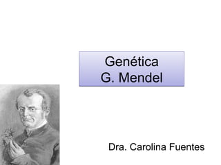 Gen ética G. Mendel Dra. Carolina Fuentes 