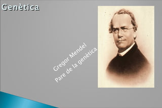 Genètica Gregor Mendel Pare de la genètica 