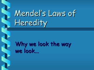 Mendel’s Laws of Heredity Why we look the way we look... 