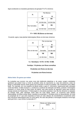 Agora analizando os resulados genotípicos da geração F1e F2, teríamos:

                                                           Flor Branca
                                      P:
                                                       B                  B
                                                       BV                BV

                                               V   cor-de-rosa    cor-de-rosa

                               Flor Vermelha           VB                VB


                                               V   cor-de-rosa    cor-de-rosa


                                    F1 = 100% VB (flores cor-de-rosa)

Cruzando, agora, duas plantas heterozigotas (flores cor-de-rosa), teríamos:

                                                       Flor cor-de-rosa
                                       F1
                                                       V                 B
                                               V       VV                BV

                               Flor cor-de-rosa     Vermelha      cor-de-rosa

                                               B       VB                BB

                                                   cor-de-rosa      Branca


                                 F2 = Genótipos: 1/4 VV, 1/2 VB, 1/4 BB.

                              Fenótipo: 1/4 plantas com flores vermelhas

                                   1/2 plantas com flores cor-de-rosa

                                     1/4 plantas com flores brancas


Alelos letais: Os genes que matam

As mutações que ocorrem nos seres vivos são totalmente aleatórias e, às vezes, surgem variedades
genéticas que podem levar a morte do portador antes do nascimento ou, caso ele sobreviva, antes de
atingir a maturidade sexual. Esses genes que conduzem à morte do portador, são conhecidos como alelos
letais. Por exemplo, em uma espécie de planta existe o gene C, dominante, responsável pela coloração
verde das folhas. O alelo recessivo c, condiciona a ausência de coloração nas folhas, portanto o homozigoto
recessivo cc morre ainda na fase jovem da planta, pois esta precisa do pigmento verde para produzir
energia através da fotossíntese. O heterozigoto é uma planta saudável, mas não tão eficiente na captação
de energia solar, pela coloração verde clara em suas folhas. Assim, se cruzarmos duas plantas
heterozigotas, de folhas verdes claras, resultará na proporção 2:1 fenótipos entre os descendentes, ao invés
da proporção de 3:1 que seria esperada se fosse um caso clássico de monoibridismo (cruzamento entre
dois indivíduos heterozigotos para um único gene). No caso das plantas o homozigoto recessivo morre logo
após germinar, o que conduz a proporção 2:1.

                                                    Planta com folhas verde
                                                             claras
                                        P
                                                       C                      c
 
