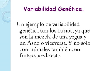 Variabilidad Genética.
 