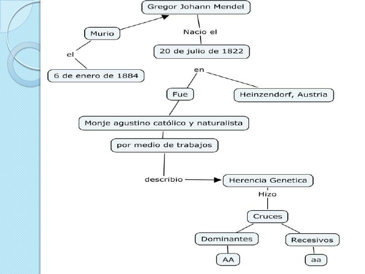 Leyes De Mendel Y Sus Cruces