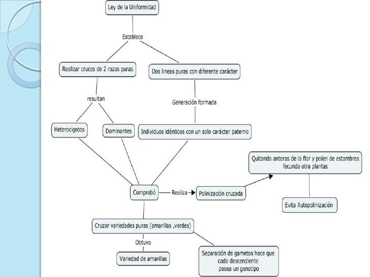 Leyes De Mendel Y Sus Cruces