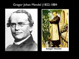 Gregor Johan Mendel (1822-1884
 