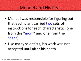 Mendel and His Peas

    • Mendel was responsible for figuring out
      that each plant carried two sets of
      instructions for each characteristic (one
      from the “mom” and one from the
      “dad”).
    • Like many scientists, his work was not
      accepted until after his death.

© Fall 2005, Pflugerville ISD, 7th Grade
 