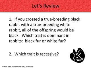 Let’s Review

        1. If you crossed a true-breeding black
        rabbit with a true-breeding white
        rabbit, all of the offspring would be
        black. Which trait is dominant in
        rabbits: black fur or white fur?

        2. Which trait is recessive?

© Fall 2005, Pflugerville ISD, 7th Grade
 