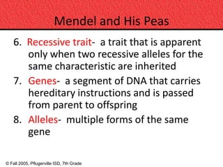 Mendel and His Peas
    6. Recessive trait- a trait that is apparent
       only when two recessive alleles for the
       same characteristic are inherited
    7. Genes- a segment of DNA that carries
       hereditary instructions and is passed
       from parent to offspring
    8. Alleles- multiple forms of the same
       gene

© Fall 2005, Pflugerville ISD, 7th Grade
 