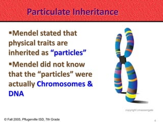 Particulate Inheritance

   Mendel stated that
   physical traits are
   inherited as “particles”
   Mendel did not know
   that the “particles” were
   actually Chromosomes &
   DNA
                                           copyright cmassengale


© Fall 2005, Pflugerville ISD, 7th Grade                           4
 