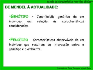 •GENÓTIPO – Constituição genética de um
indivíduo em relação às características
consideradas.
•FENÓTIPO – Características observáveis de um
indivíduo que resultam da interacção entre o
genótipo e o ambiente.
DE MENDEL À ACTUALIDADE:DE MENDEL À ACTUALIDADE:
Adaptado de Óscar Sequeira e José Salsa
 