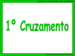 Adaptado de Óscar Sequeira e José Salsa
 