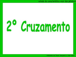 Adaptado de Óscar Sequeira e José Salsa
 